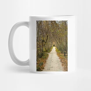 Fall Path Mug